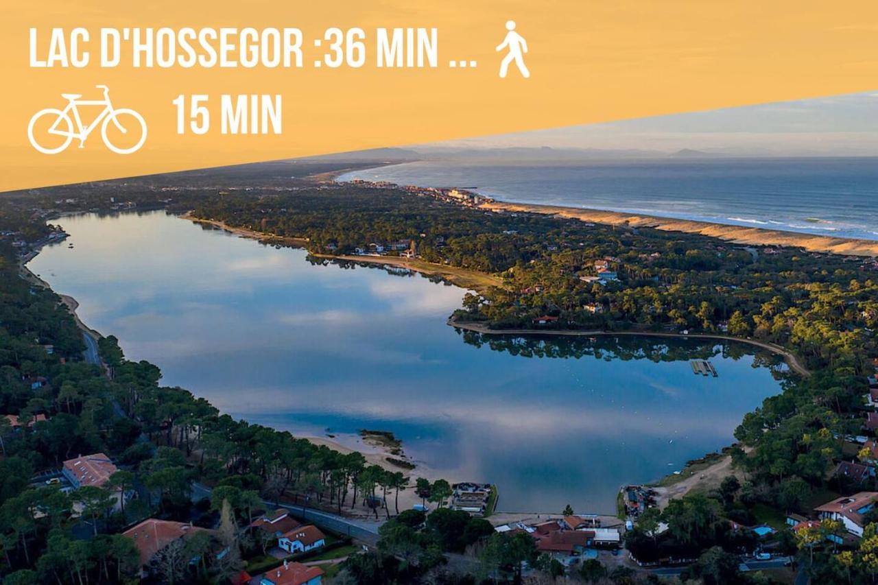 סורטס הוסגור * Hossegor * Plage 100M * Vue Sur Les Pins *Surf מראה חיצוני תמונה