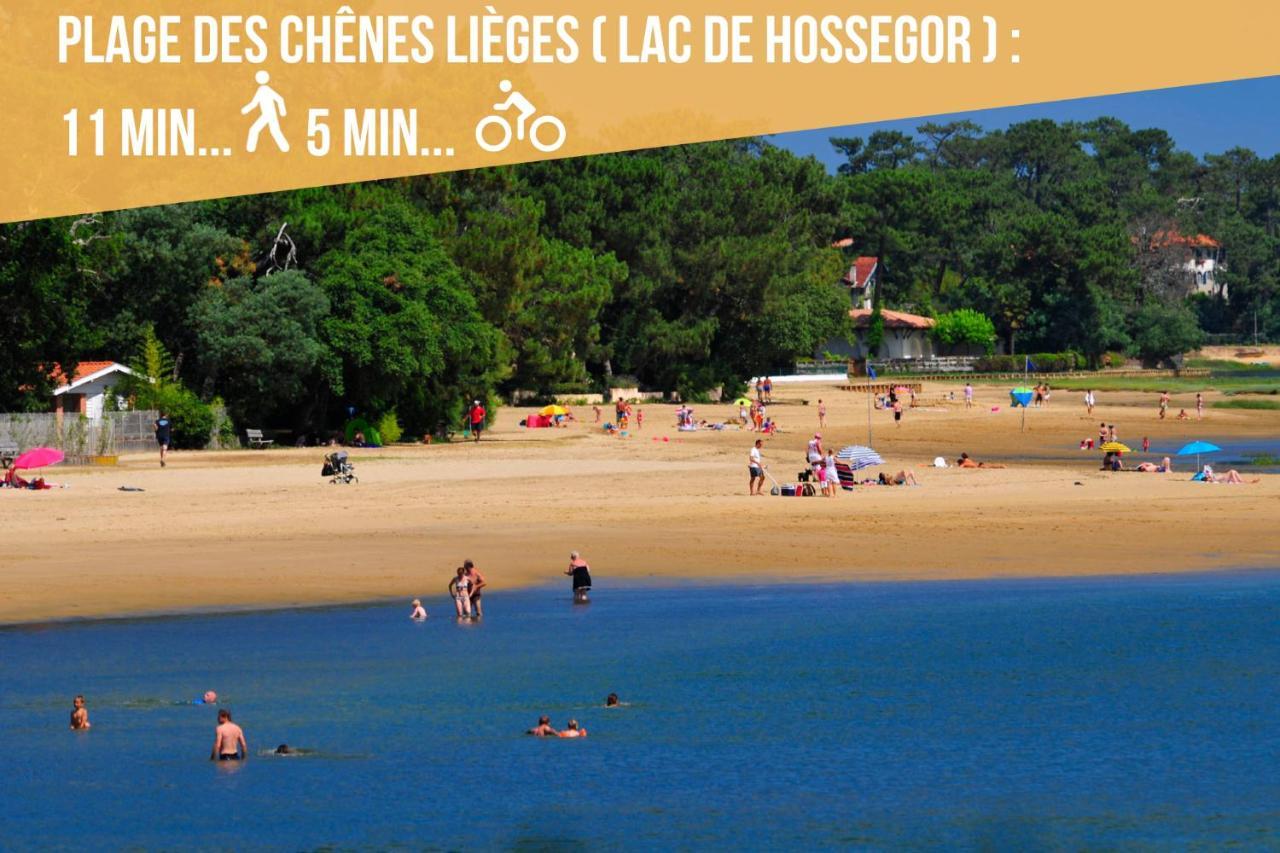 סורטס הוסגור * Hossegor * Plage 100M * Vue Sur Les Pins *Surf מראה חיצוני תמונה